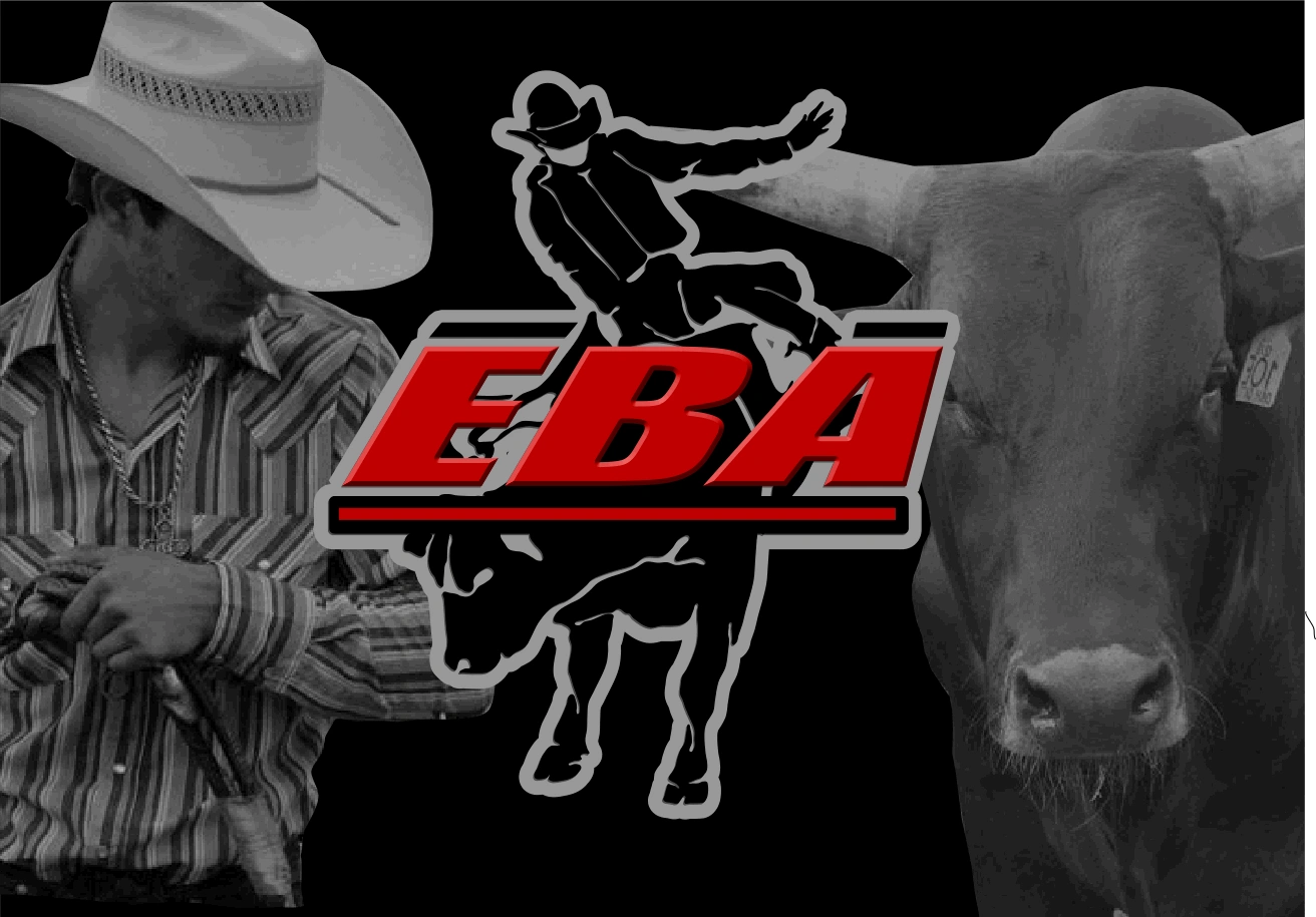 Bull Riding Standings